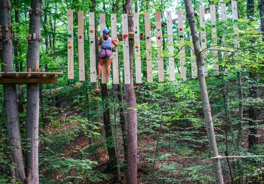 Explore Park Treetop Quest - things to do in Virginia's Blue Ridge