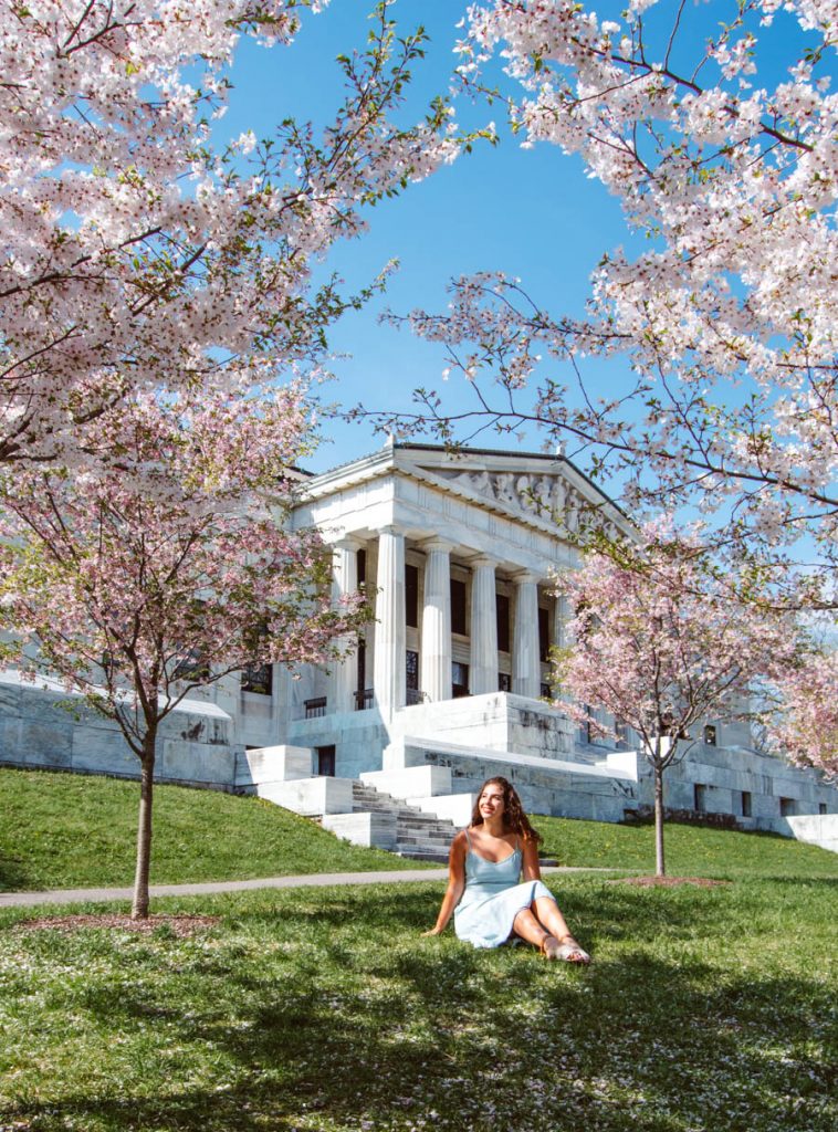 Cherry Blossoms in Buffalo