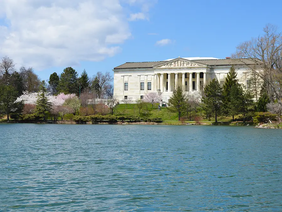 Cherry Blossoms at Buffalo History Museum