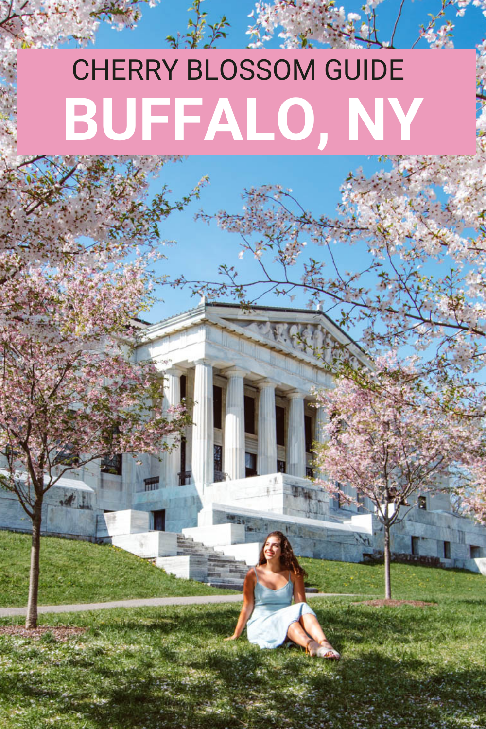 New Jersey Cherry Blossoms Guide