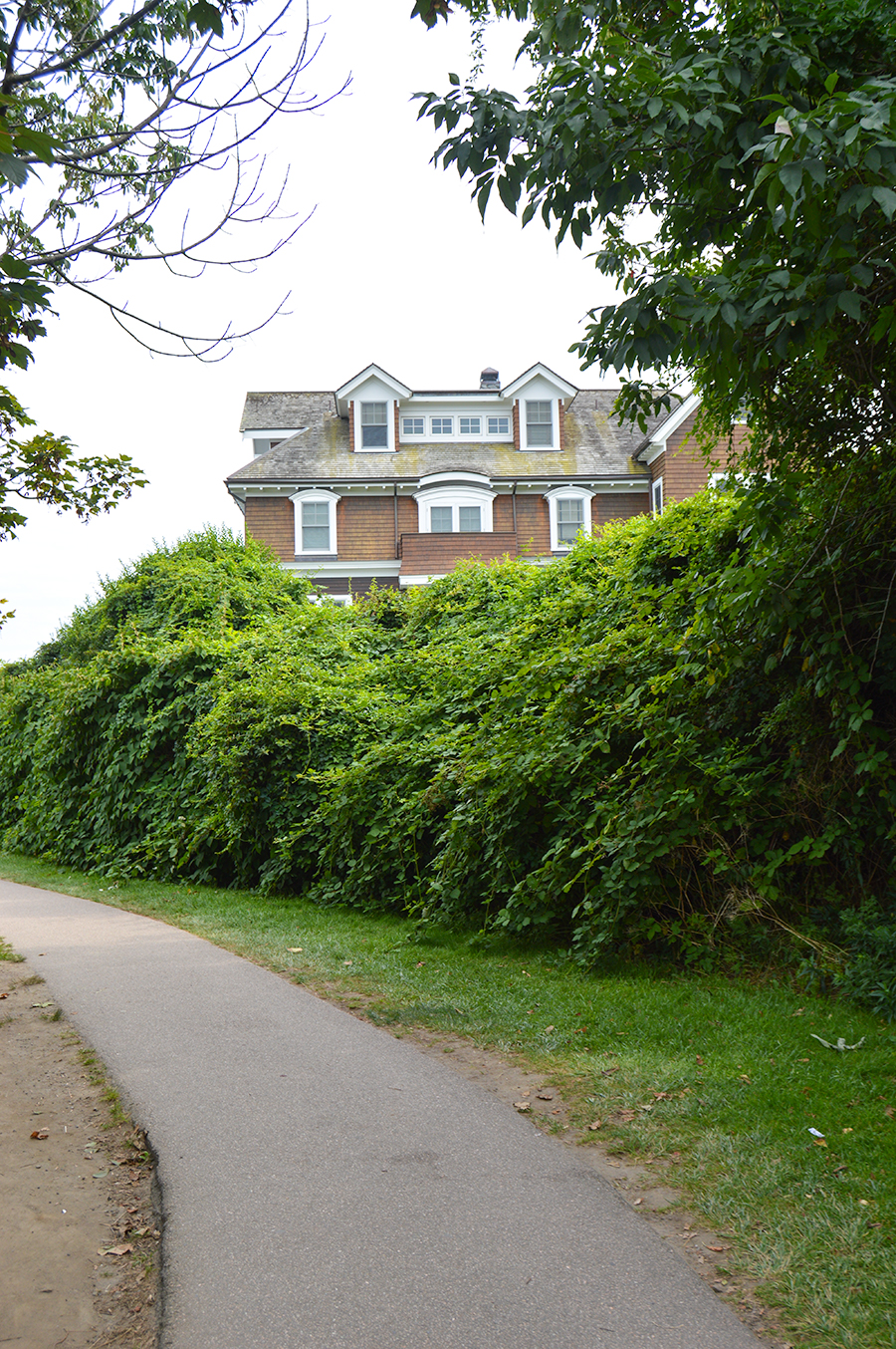 Newport Cliff Walk