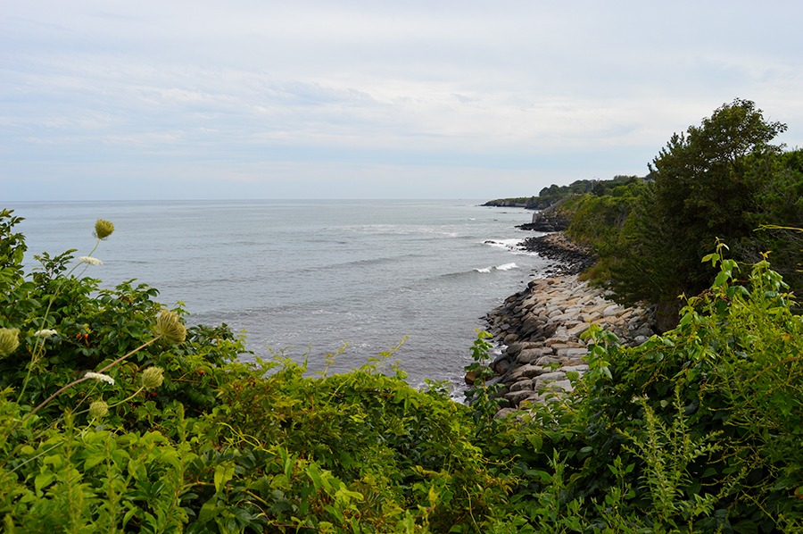 Newport Cliff Walk