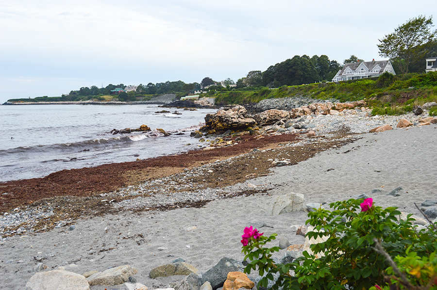 Newport Cliff Walk