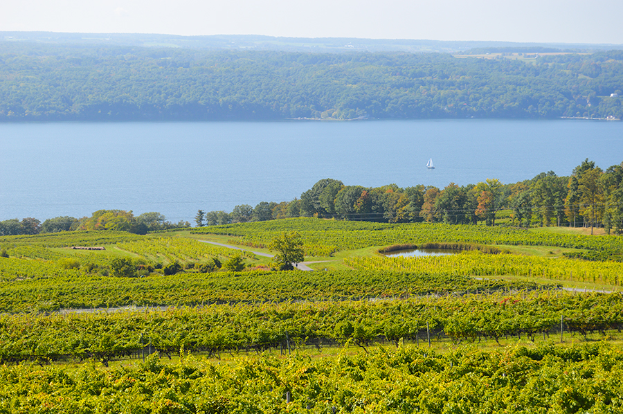 Watkins Glen Travel Guide