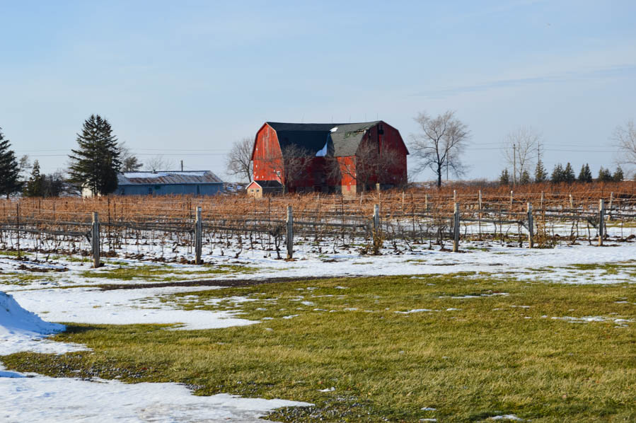 Niagara Icewine