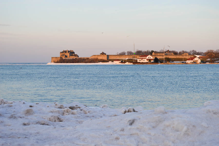 Niagara Icewine