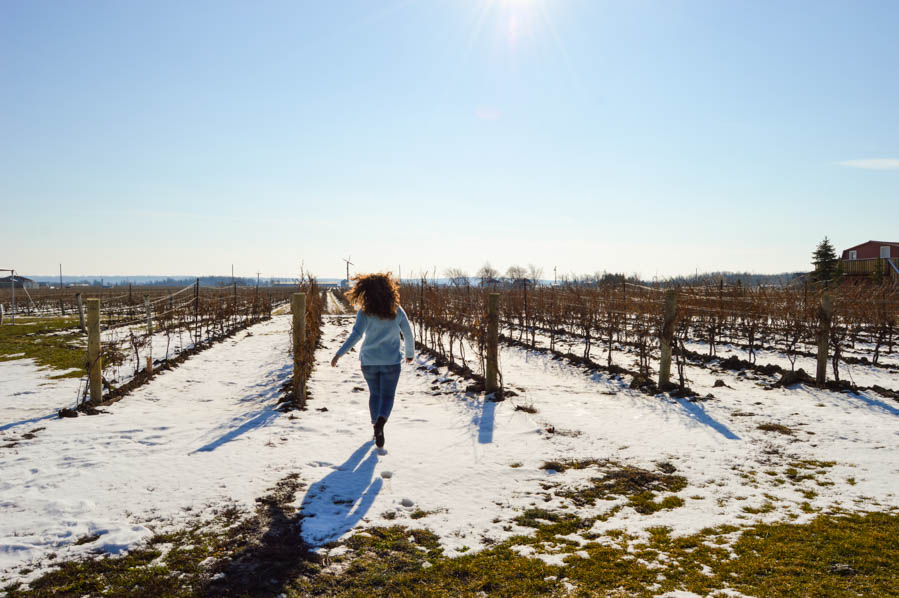 Niagara Icewine