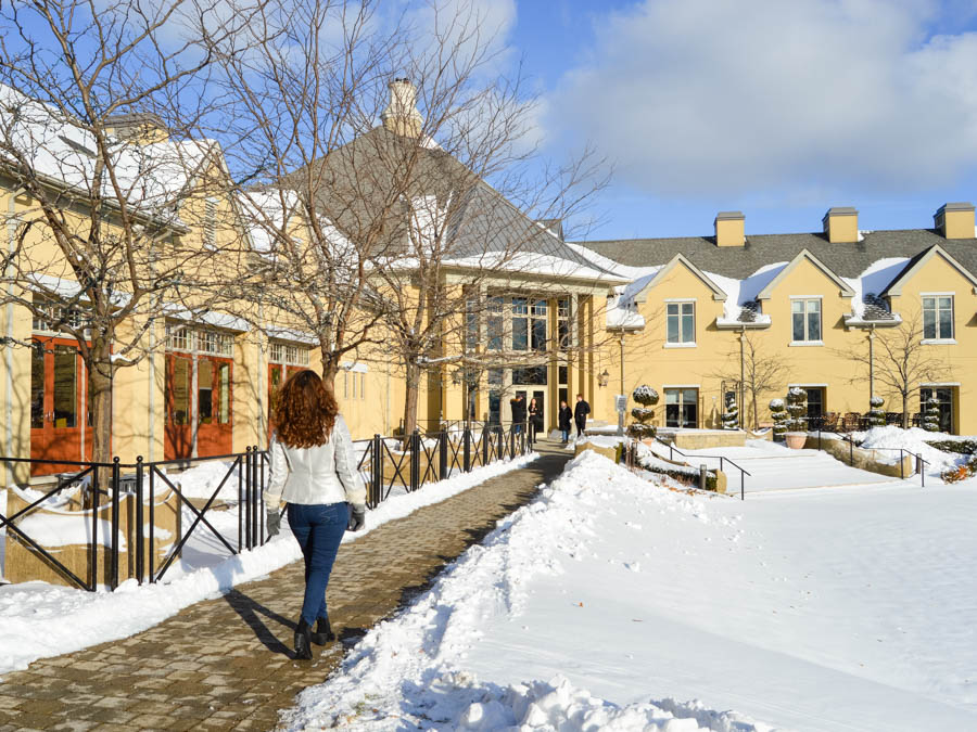 Niagara Icewine