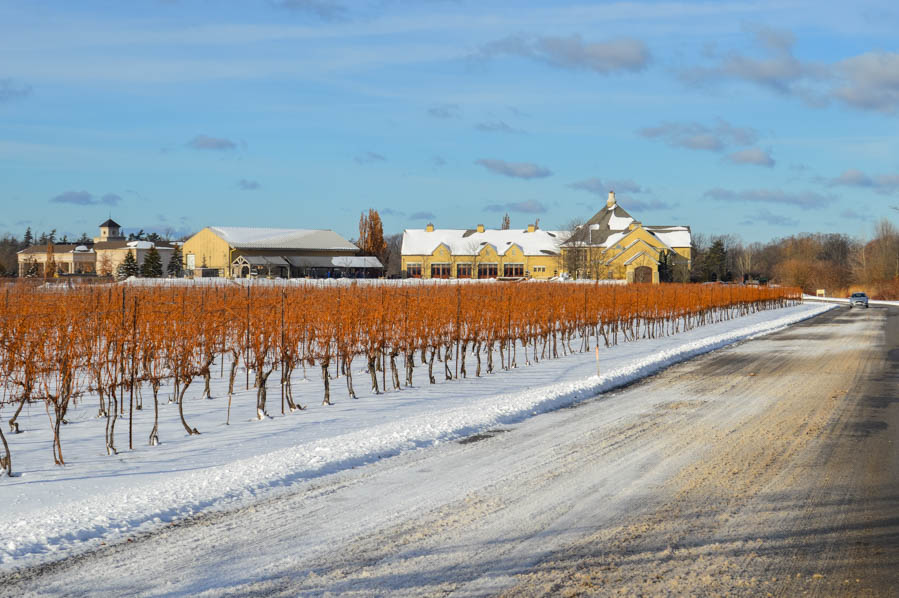 Niagara Icewine