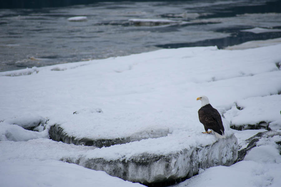 Seward Scenic Highway