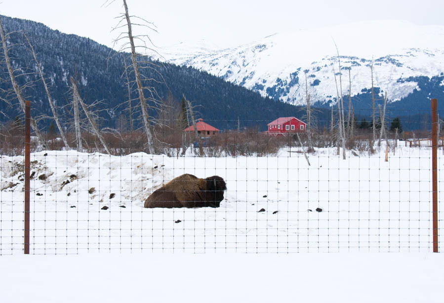 Seward Scenic Highway