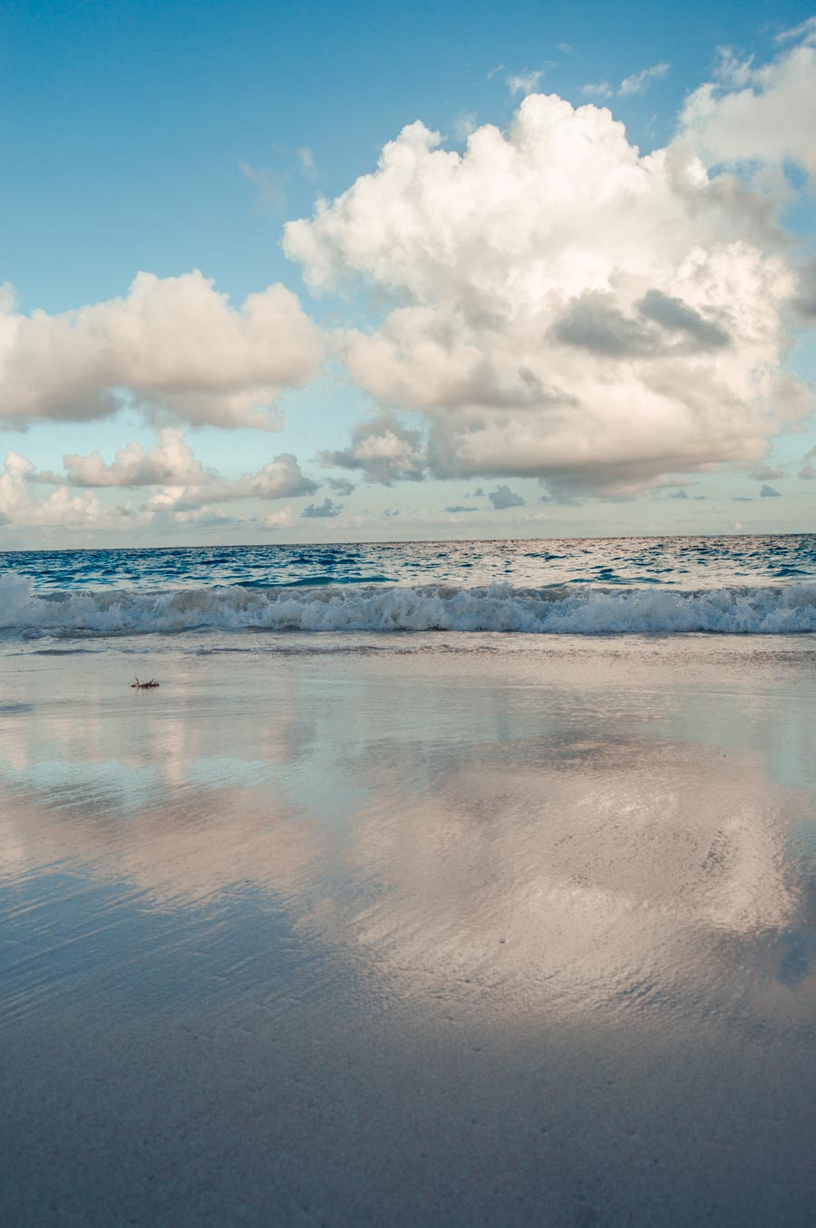 Elbow Beach