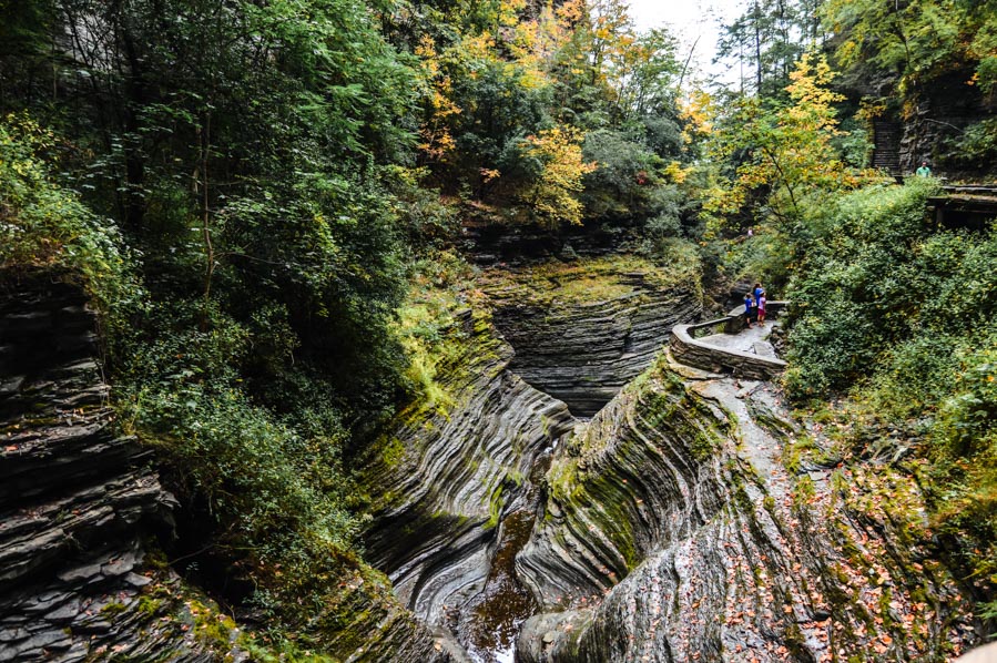 Guide to Hiking the Stunning Watkins Glen Gorge Trail - Come Join My ...