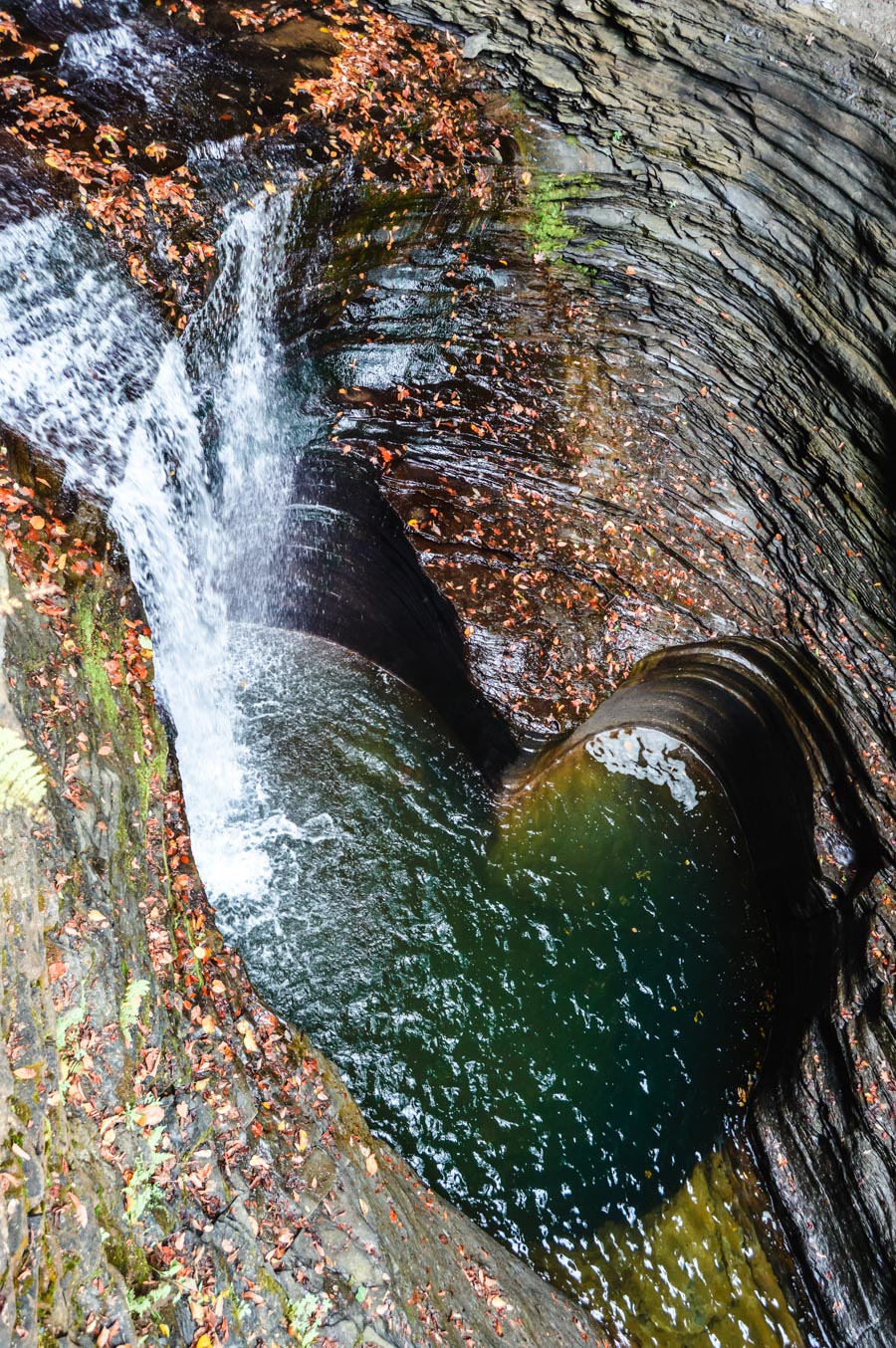 Watkins Glen Gorge Trail