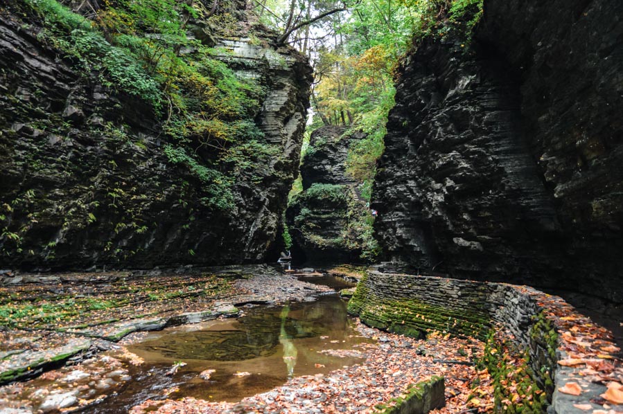 Watkins Glen State Park