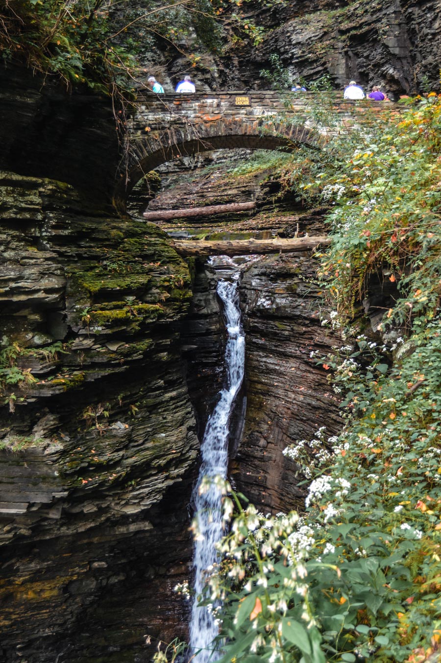 Watkins Glen Gorge Trail