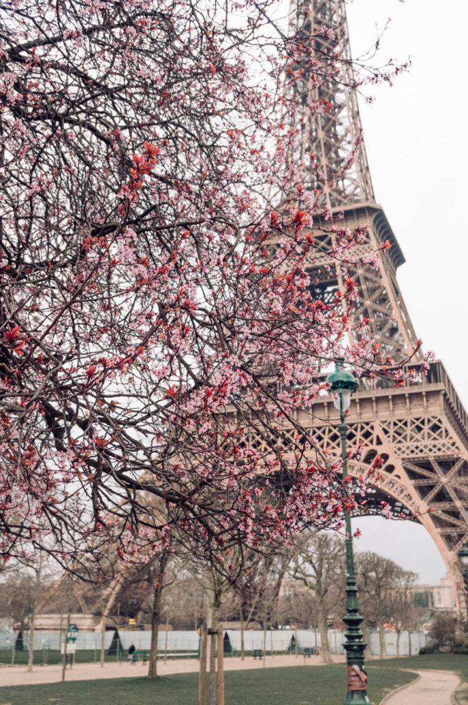 Eiffel Tower Champ de Mars 