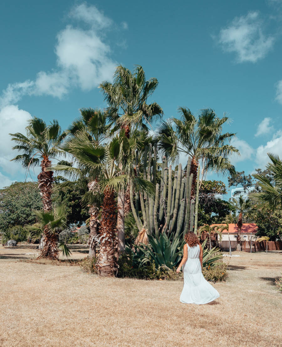 Hilton Curacao Beach Hotel