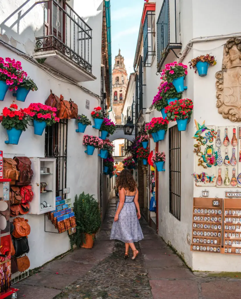Calleja De Las Flores: Cordoba's Flower Alley - Come Join My Journey