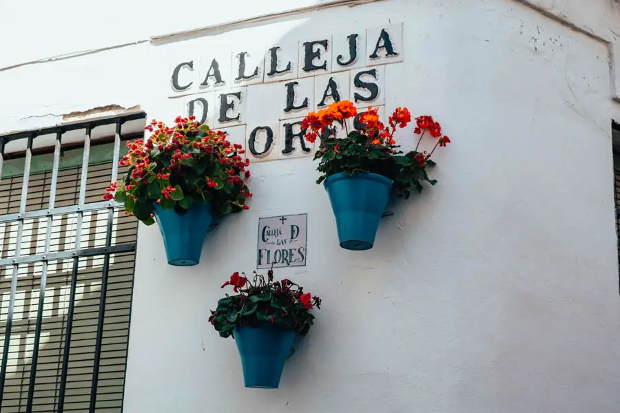 Calleja De Las Flores: Cordoba's Flower Alley - Come Join My Journey