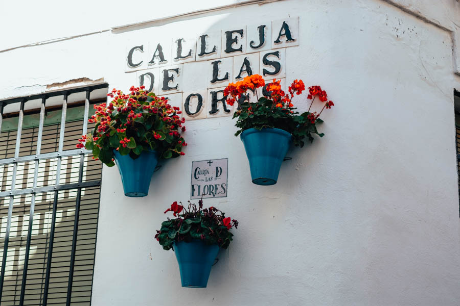 Calleja De Las Flores