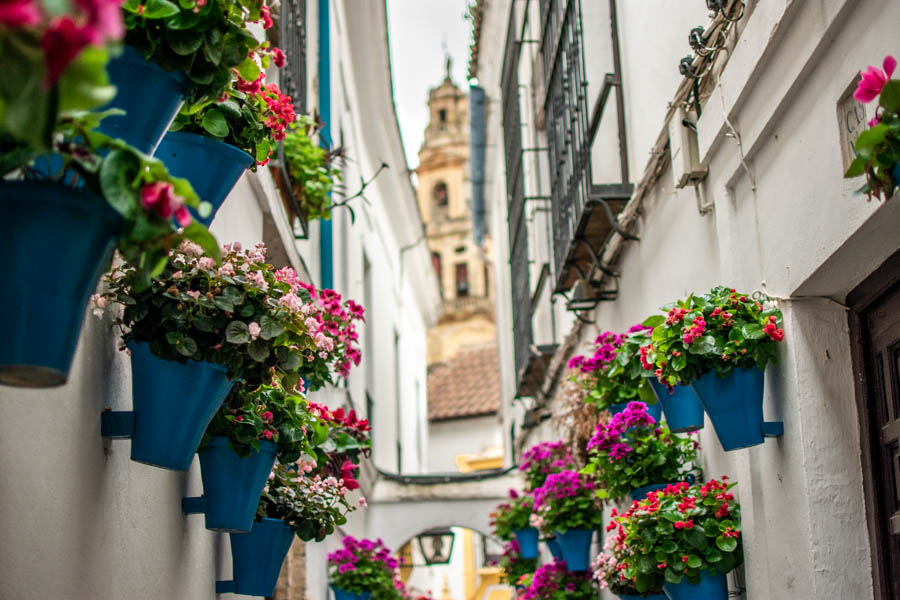 Calleja De Las Flores