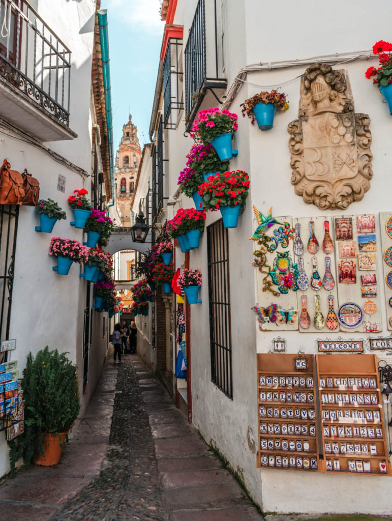 Calleja De Las Flores: Cordoba's Flower Alley