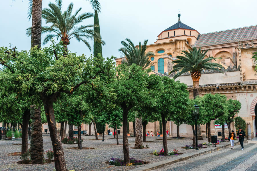 Patio de las Naranjos