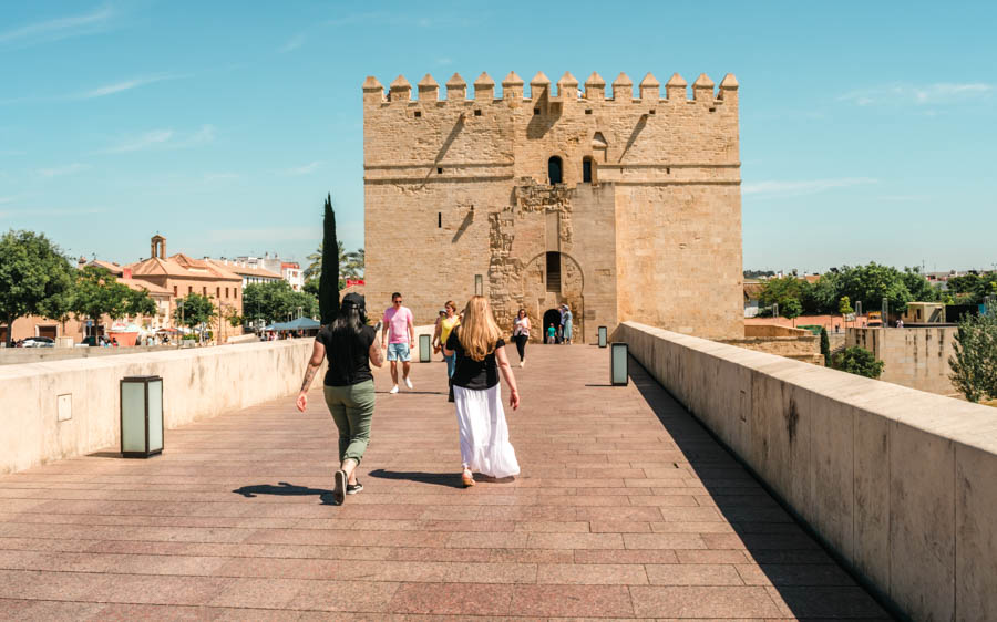 Roman Bridge Torre De Calahorra