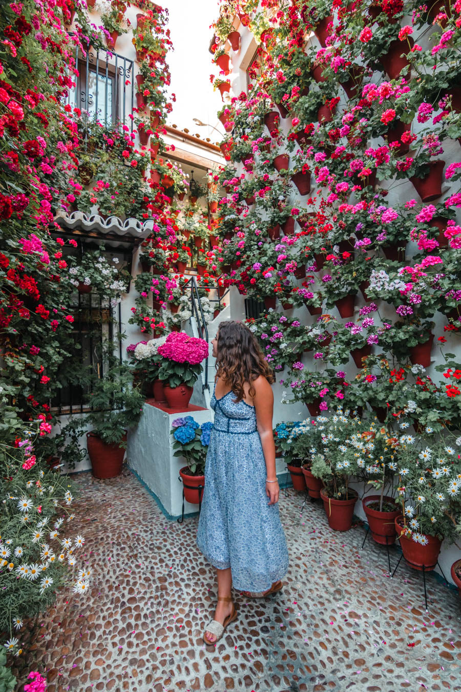 Cordoba Patio Festival