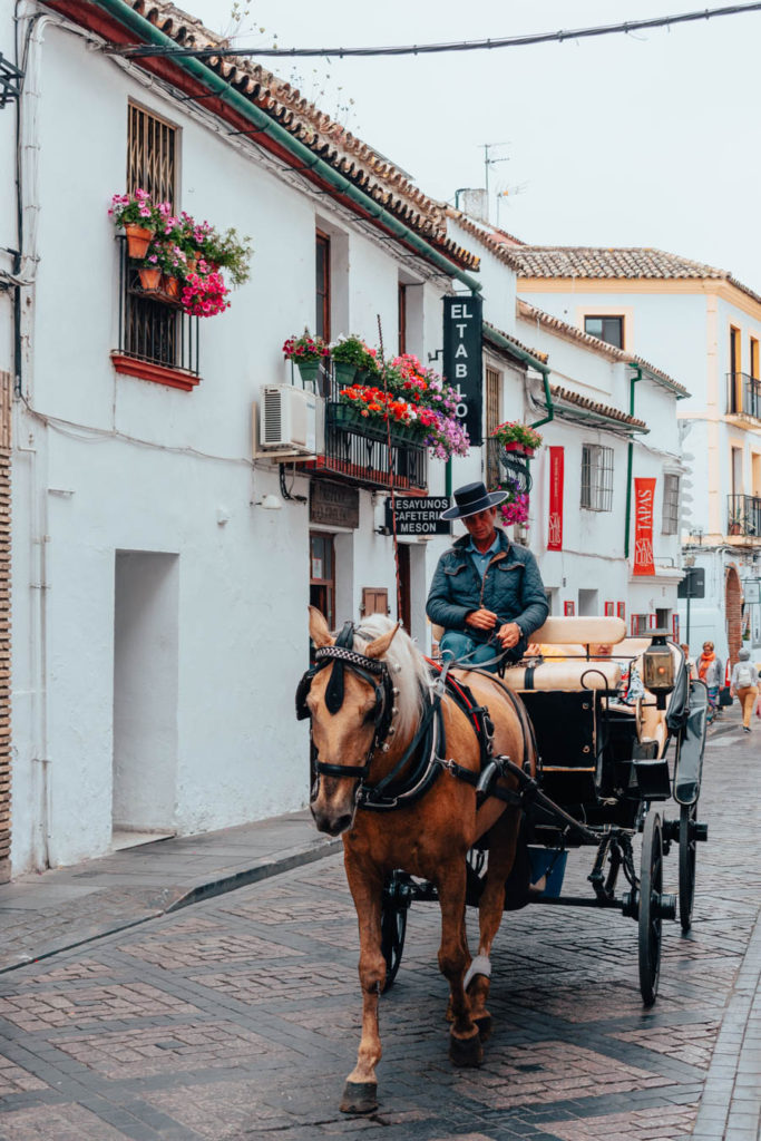 Historic Center of Cordoba - One Day in Cordoba Itinerary 