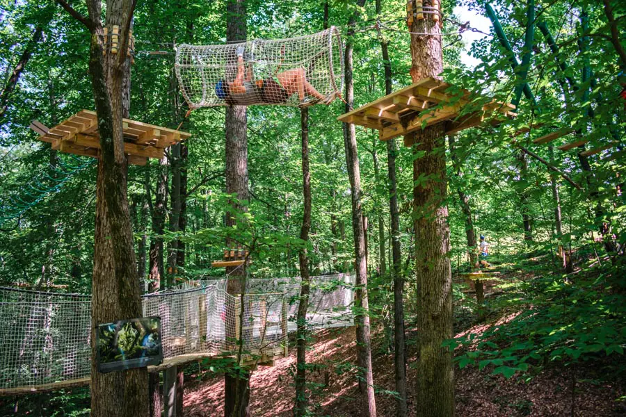 Explore Park Treetop Quest - things to do in Virginia's Blue Ridge