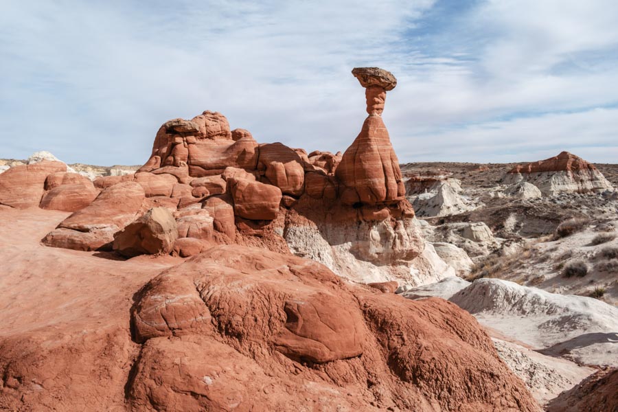 Toadstools Utah