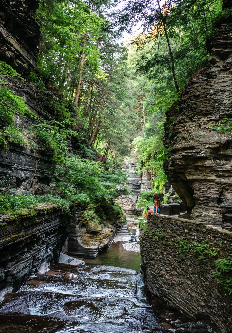 Robert H. Treman State Park