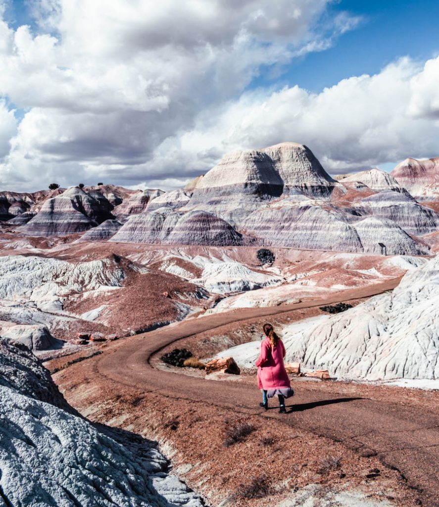 Petrified Forest National Park