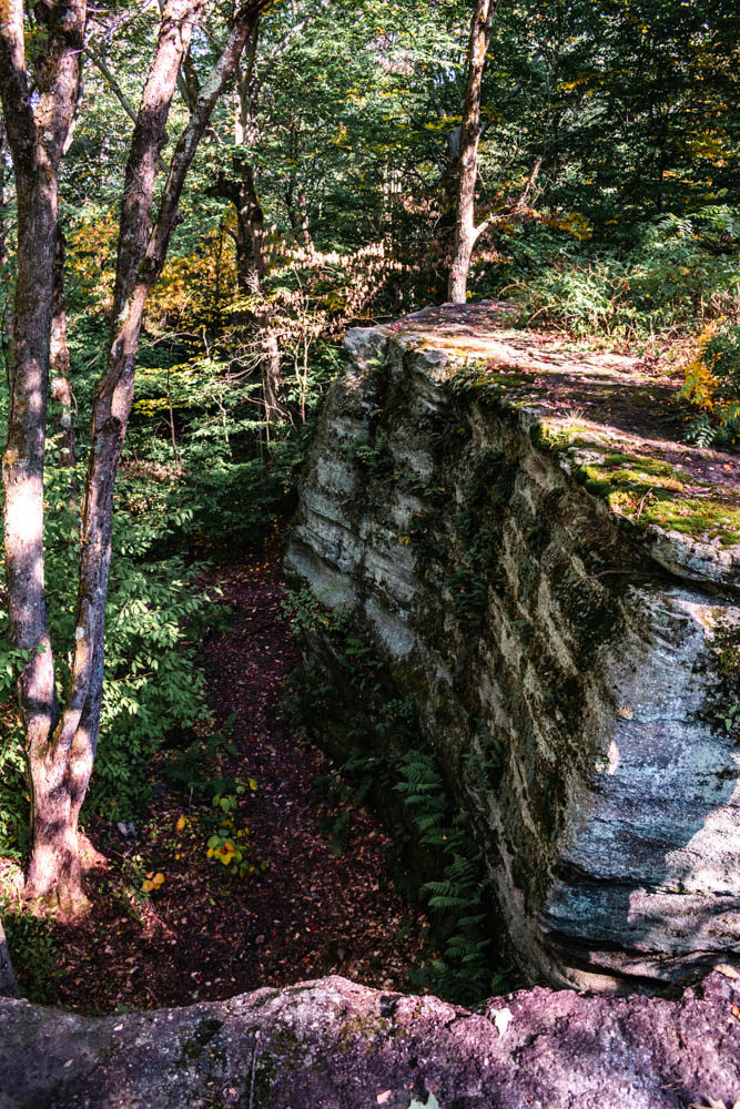 Rock City State Forest NY