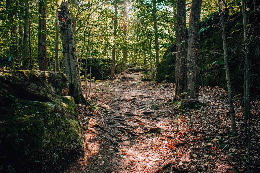 Rock City State Forest NY- Little Rock City Nature Loop Trail