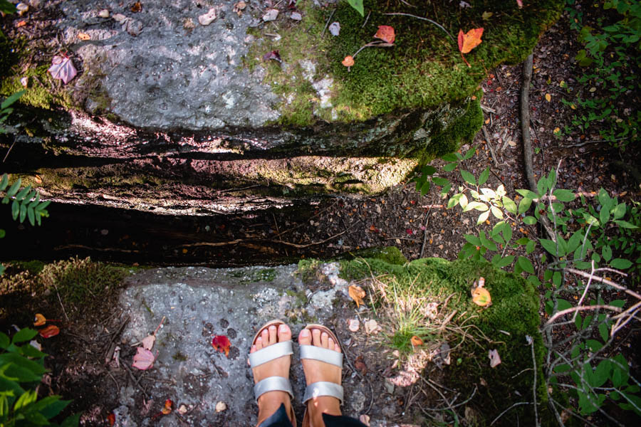 Rock City State Forest NY