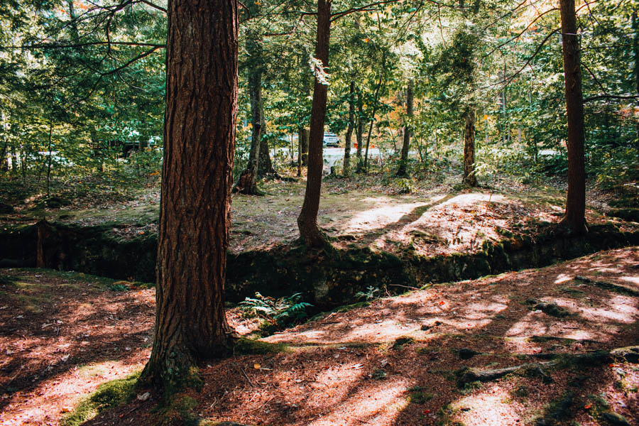 Rock City State Forest NY