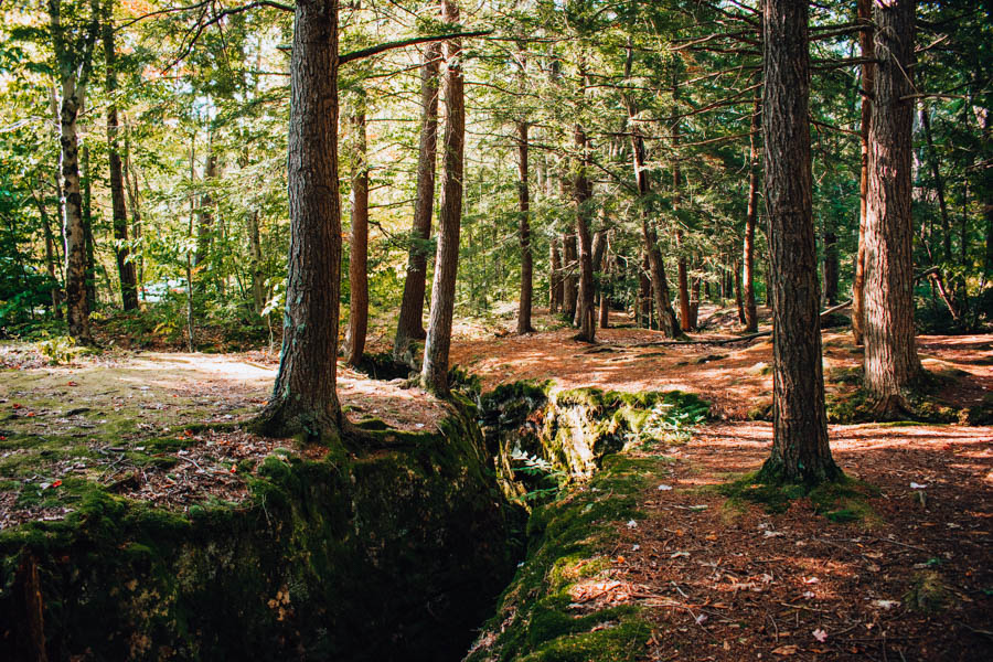 Rock City State Forest NY