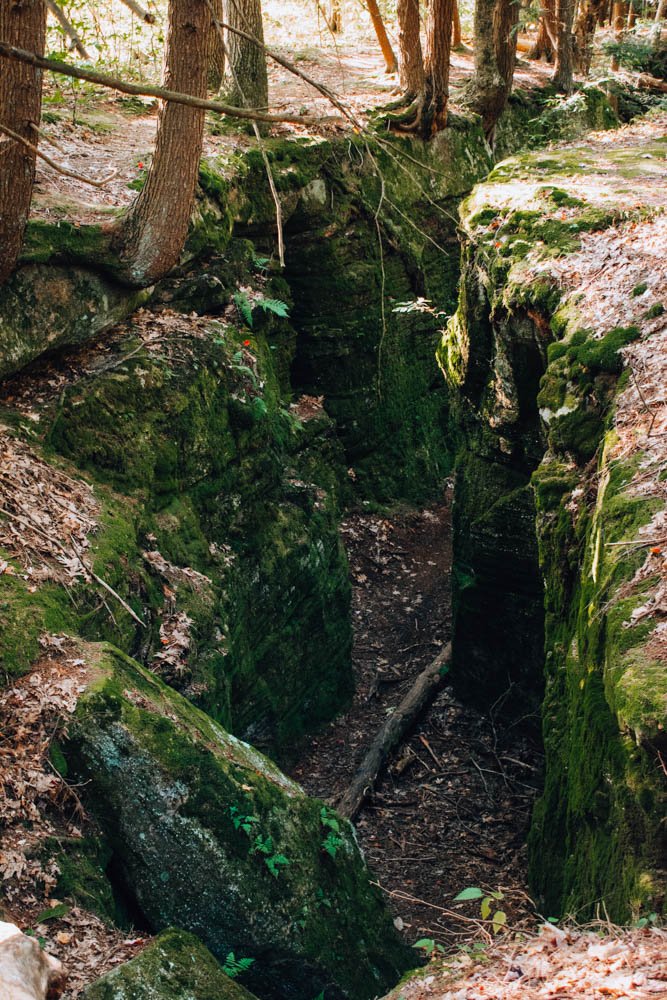 Rock City State Forest NY