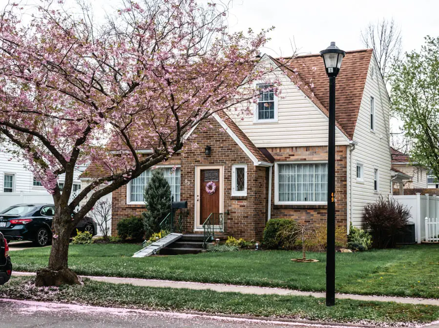 House with Cherry Blossoms in Buffalo