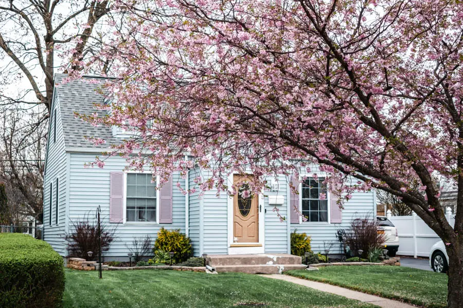 House with Cherry Blossoms in Buffalo