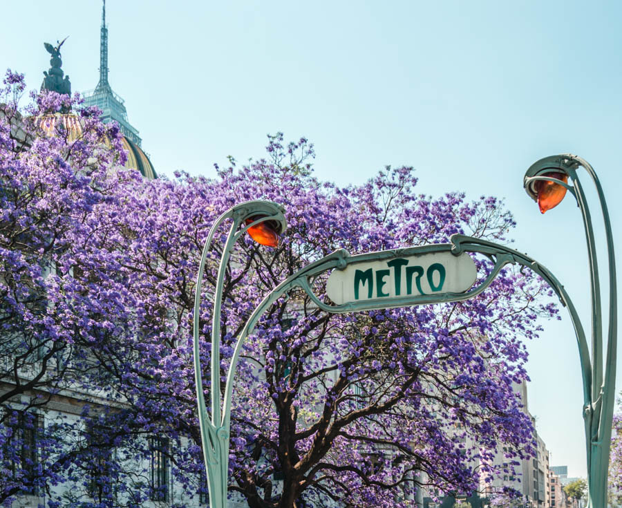 Alameda Central metro with Jacarandas