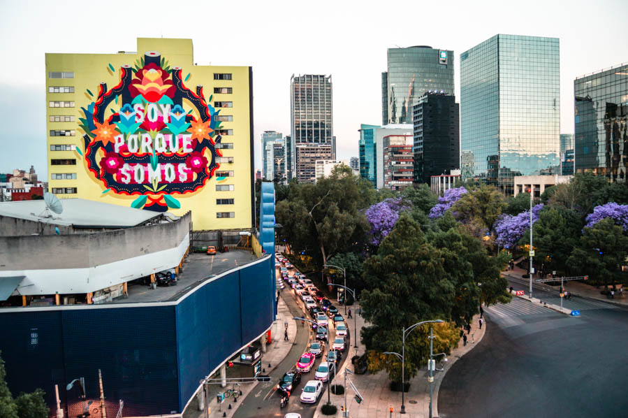 Jacarandas in Mexico City - Paseo de la Reforma Avenue