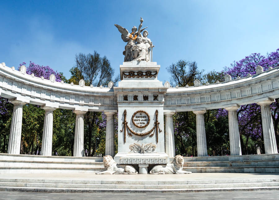 Jacarandas in Mexico City