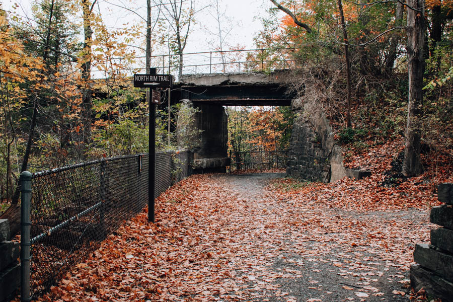 Taughannock Falls State Park