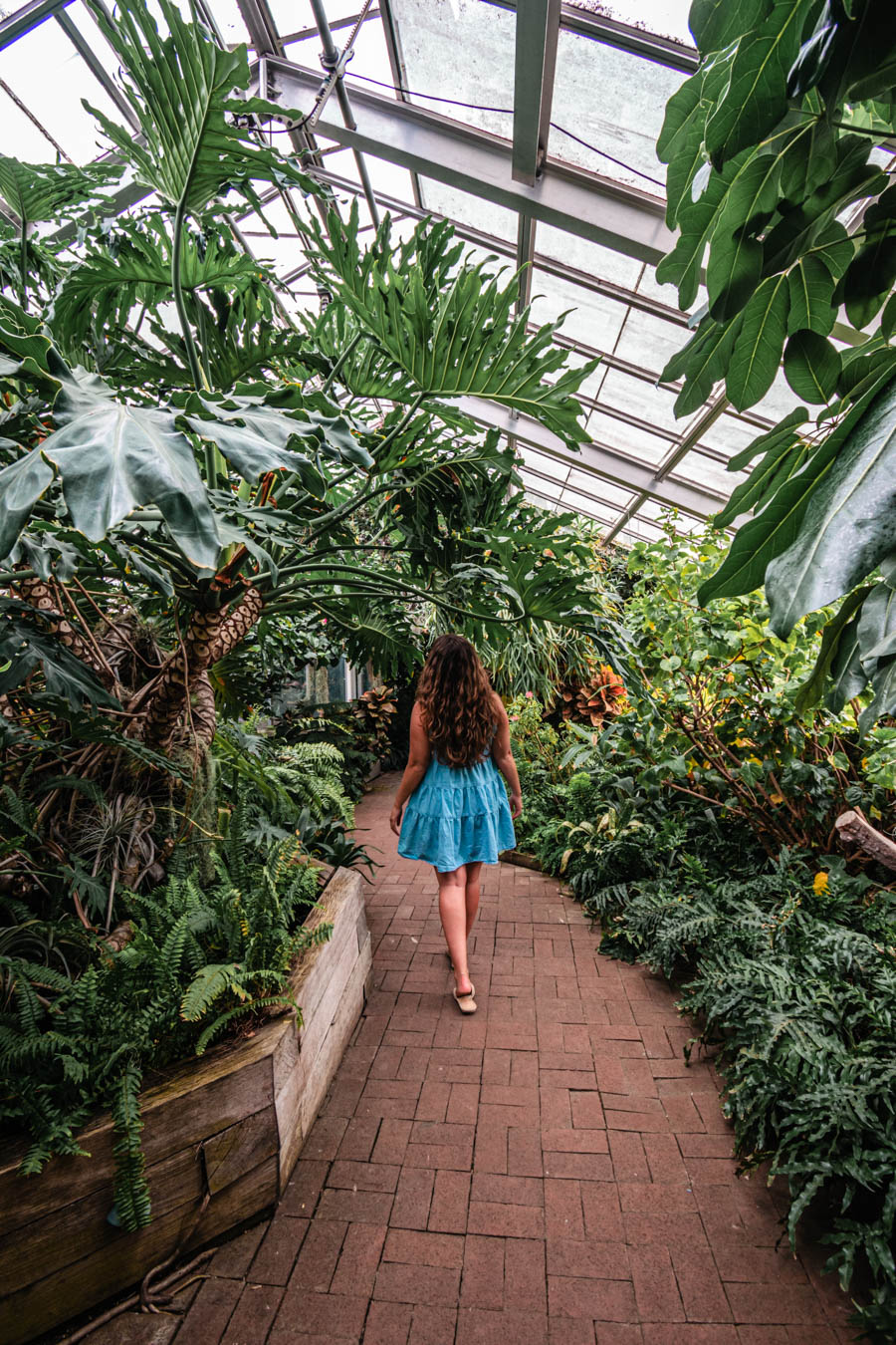 Lamberton Conservatory 