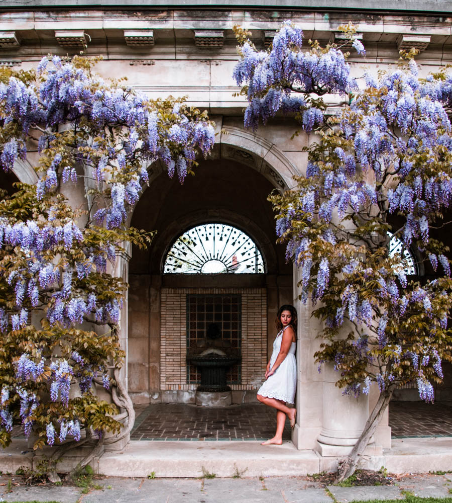 Gardens at George Eastman House