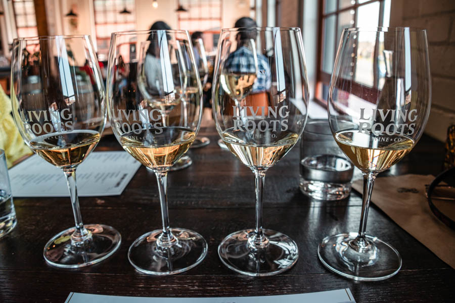 Wine Flights at Living Roots Winery - Best things to do in Rochester NY